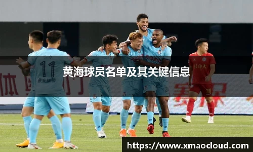 黄海球员名单及其关键信息
